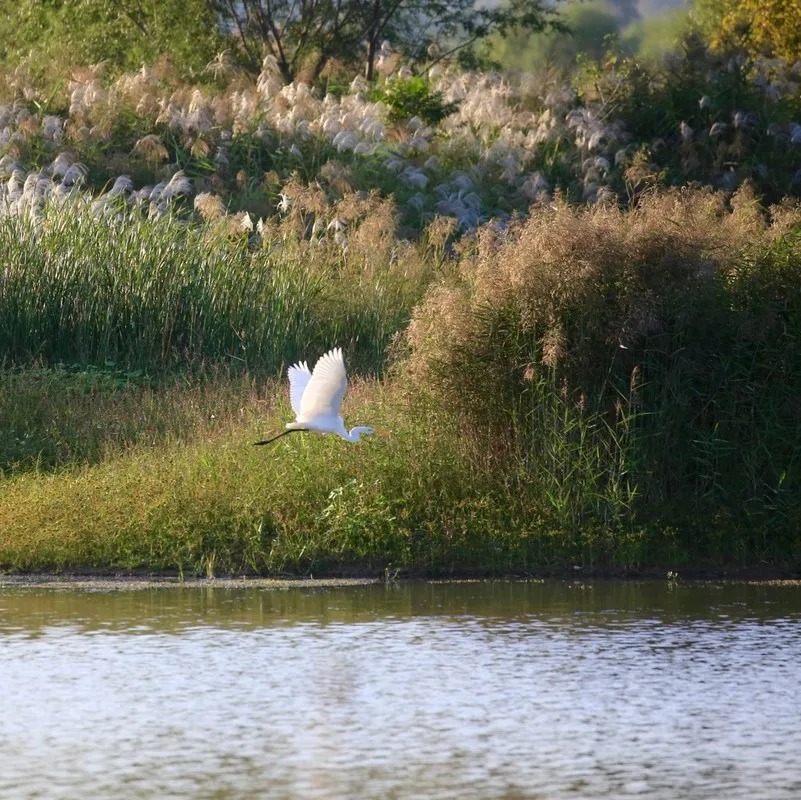 有所期&雨水|天青色等烟雨。