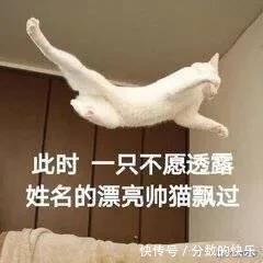 |搞笑段子：女朋友那些奇葩操作，让我应接不暇