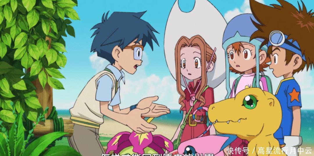 数码兽|新数码宝贝可爱的哥玛兽登场,阿丈拒绝帮助太一!