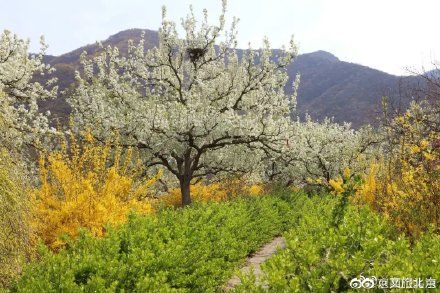 四月春山美 绿水青山门头沟