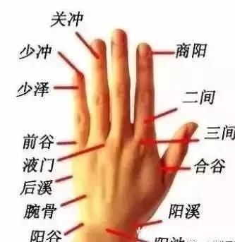 中渎穴|调理手颤、手麻、脚麻、面部神经麻痹，它们是立竿见影的必调穴