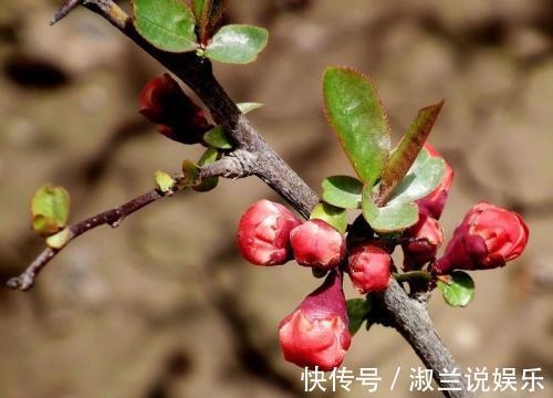 回家|最值得娶回家的三大生肖女，不会出轨偷情，婚后对婚姻负责