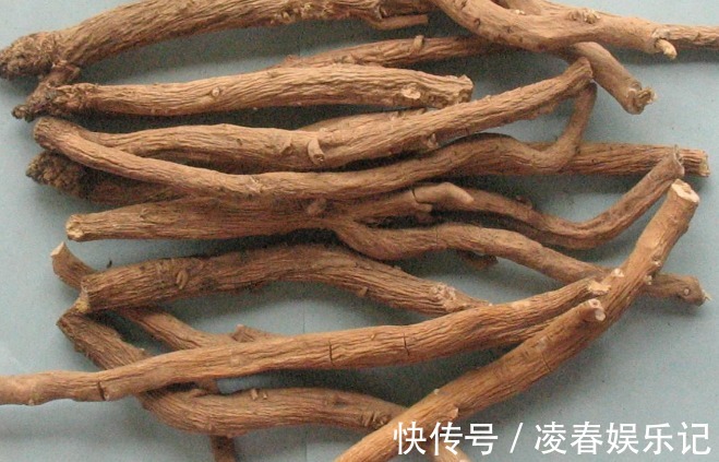 治疗|一味中药润肺气、治咳嗽,老中医无私奉献的止咳“妙方”