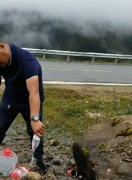 |搞笑GIF: 你们可要为我作证 是那个妹子自己撞过来的