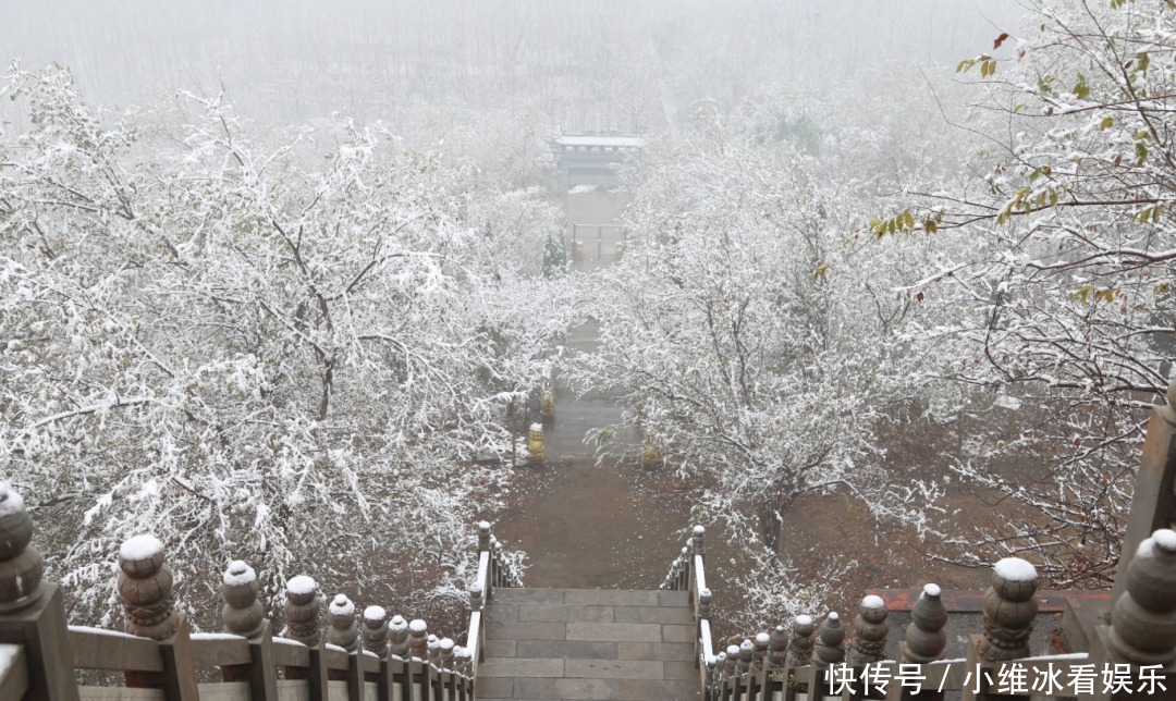 签收|邹平今冬初雪美景已到货，快快签收