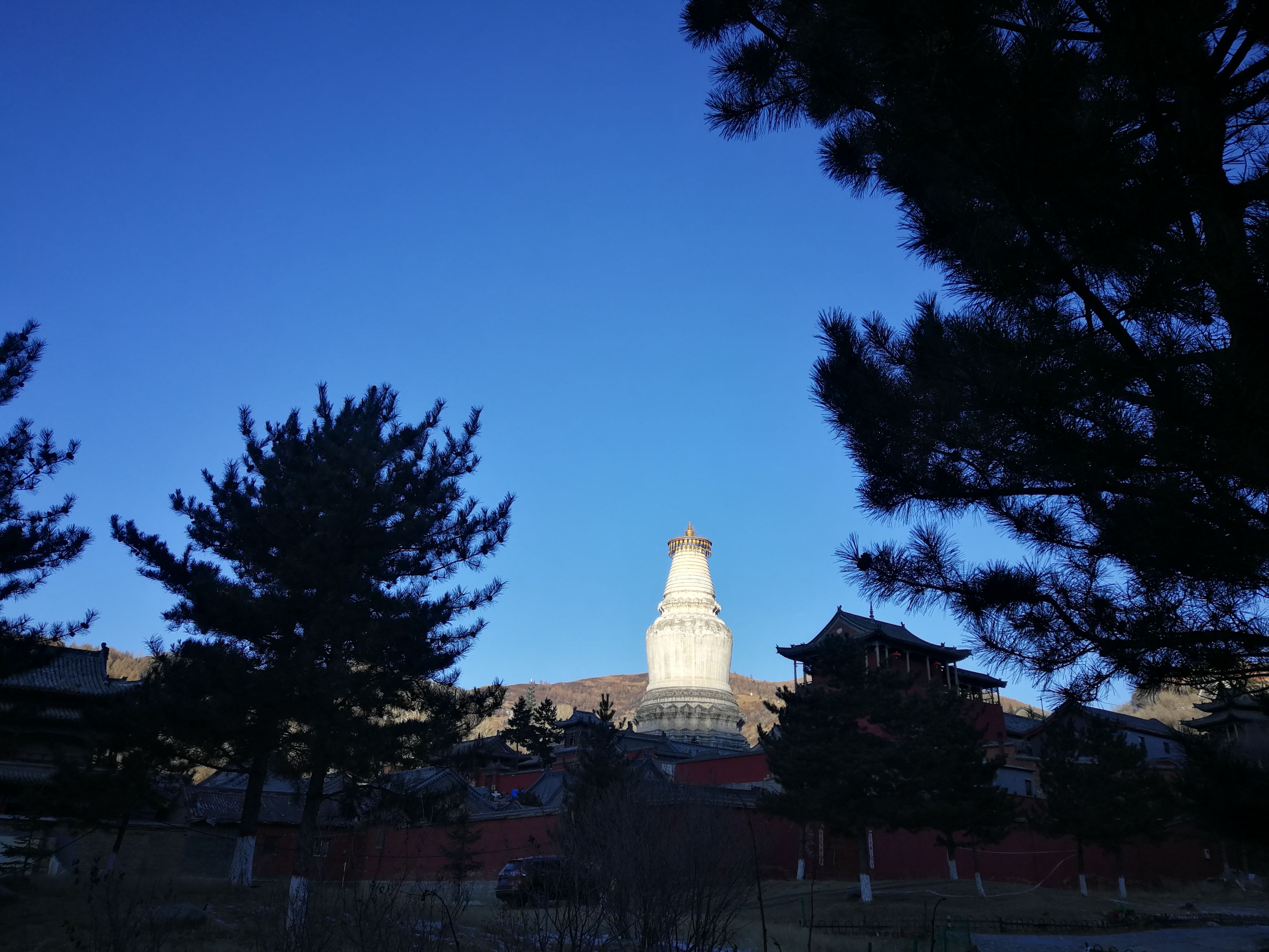 本田冠道五台山祈福之旅