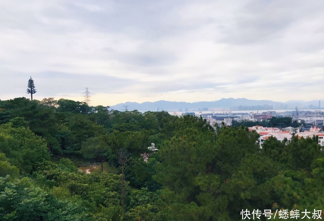 厦门有一座绿色宝石山，条条大路有美景，游客以为来到了秘境