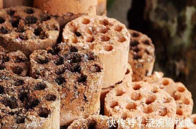 羊粪肥|养花旧土别扔,“3样”东西加一点,土质肥沃,养花特旺,开花多