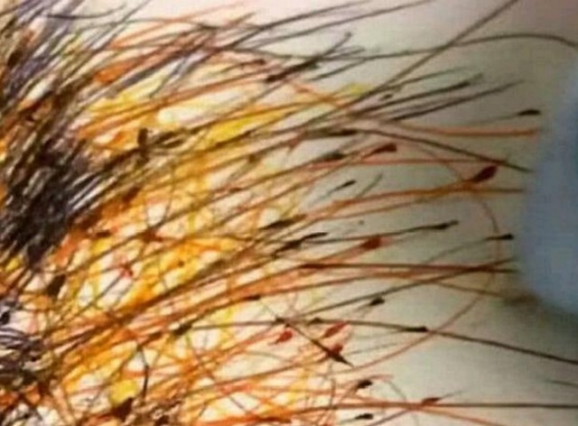 专业课$美术生“作品”走红,第一眼看过去很丑,放大10倍后老师也佩服