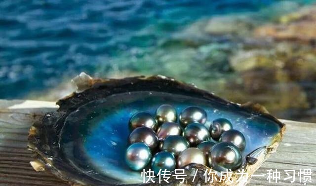 马贝@普及一下关于珍珠的小知识!