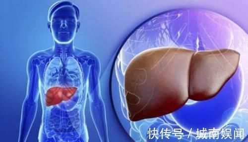 西瓜|养肝就是养命,5种食物坚持吃,修复你的肝细胞,让身体健康