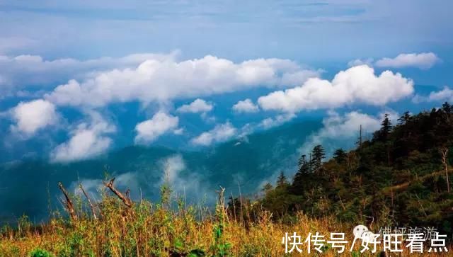 佛坪|魅力陕西行·山色空蒙雨亦奇！秋雨后的佛坪，山幽云雾绕