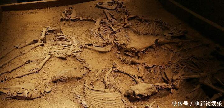 随葬品|朱元璋死后嫔妃殉葬，建文帝选了一种致死方式，令人听了就发麻