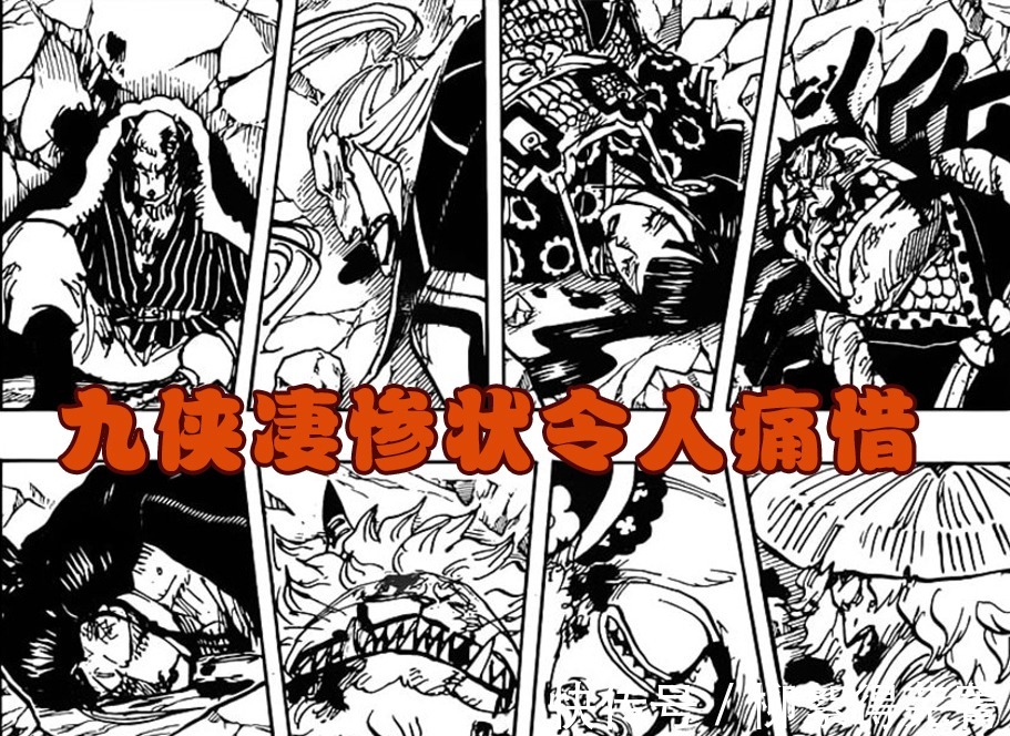 锦卫门|海贼王1000话马尔科以一敌二对抗烬和奎因,九侠凄惨状令人痛心