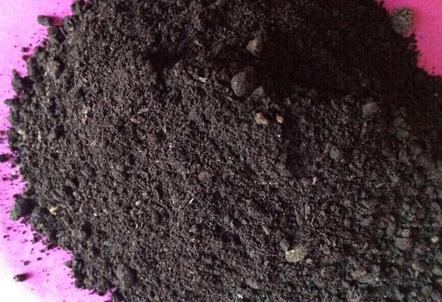 腐叶土|养花用什么土好这样“用土”,土不板结,茁壮生长,开花很旺