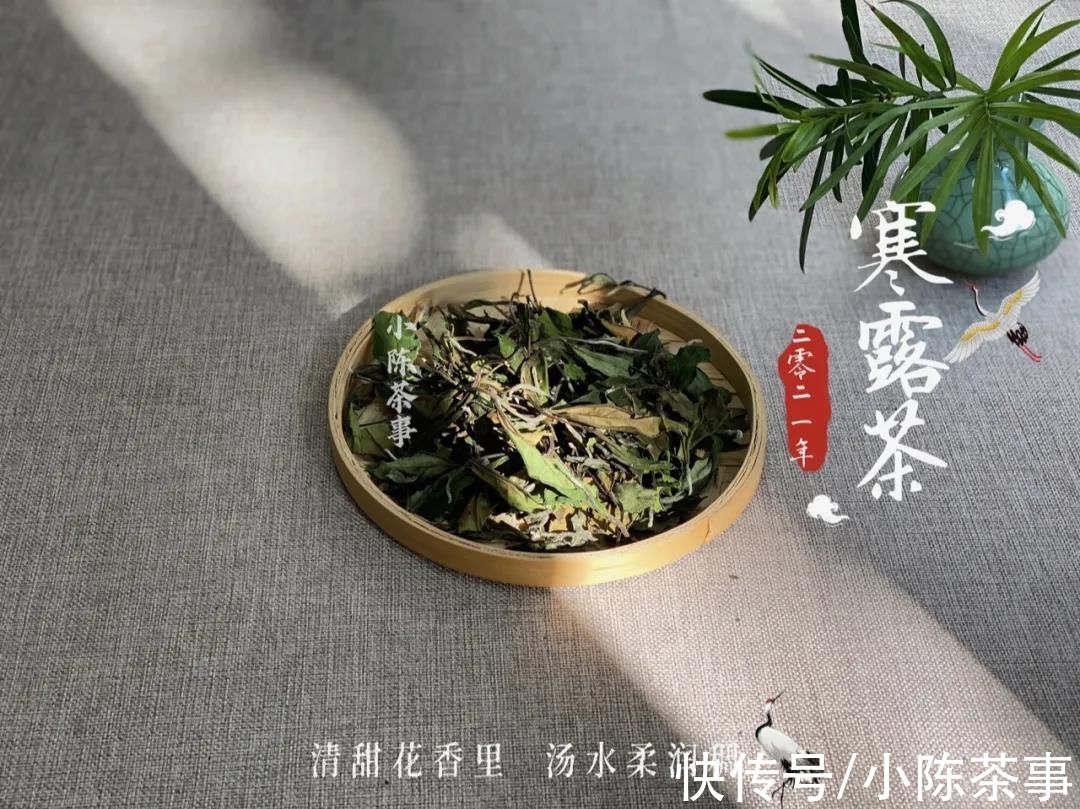 茶友$讨论：巧克力味白茶，究竟是高端茶独有的风味，还是茶掌柜的套路