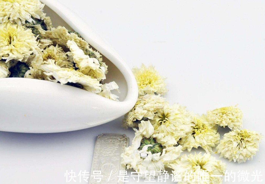 菊花|“3种”花泡水喝最养胃!还能清热解毒去除油脂,早了解早受益!