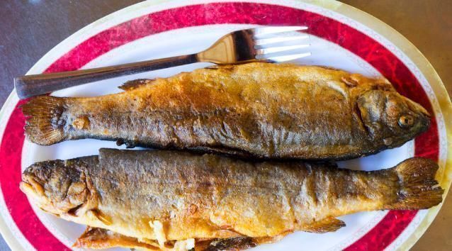 孩子|3种食物家长可以常给孩子吃,既能保护视力,还能帮助孩子发育