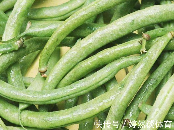 高脂膜|在收获优质豆类时需要注意四点,四季豆健脾化湿,营养又美味
