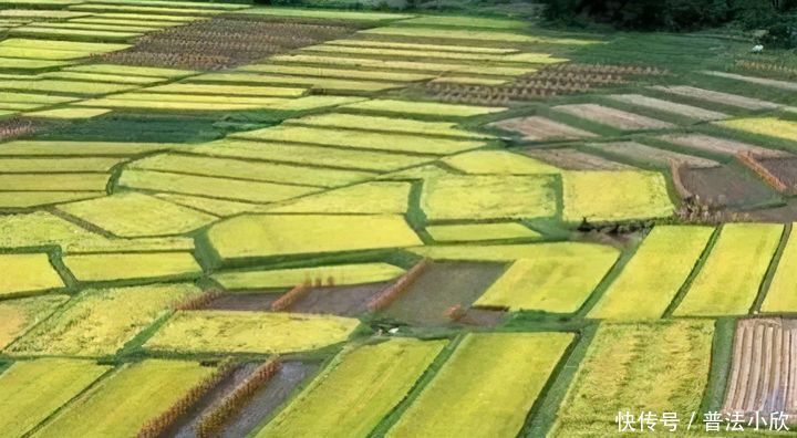 西北政法大学|对房屋的价值评估结论不满意?律师来教你终极大招