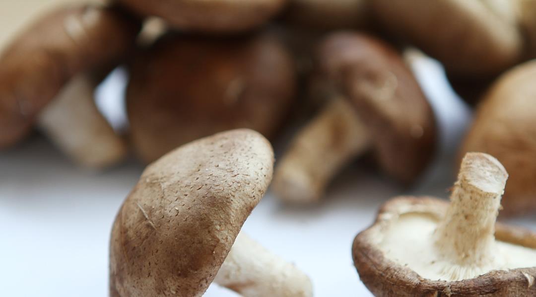 死对头|痛风的“死对头”已找到,坚持泡水喝,降低尿酸,痛风或不告而别