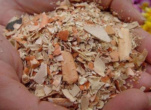 自从学会用蛋壳养花后,家里再没掏过一分钱买肥料