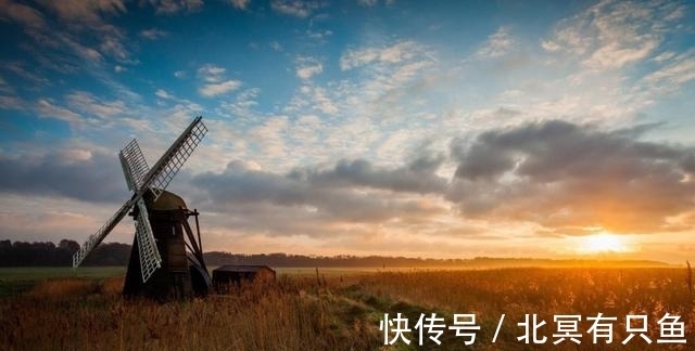 水瓶座|11月底，旧情复燃，3星座再度牵手回忆，重归于好