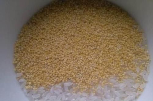 碳水化合物|小米为“粮食之首”,但营养师却说:跟3食物搭配,营养价值翻倍
