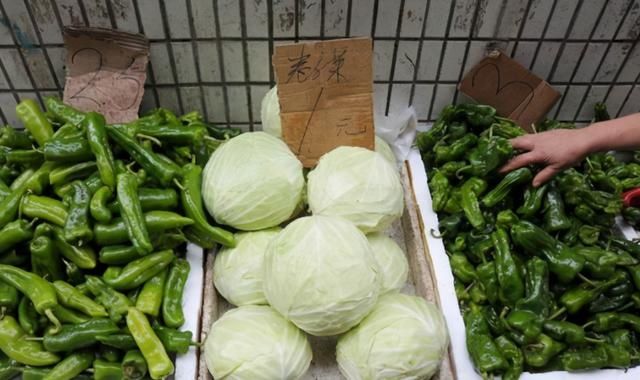 德国人来中国菜市场，看到这菜时差点跪了：为何它变大了100倍