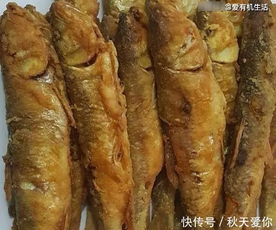 这种鱼身上的鳞甲似彩虹,人称“桃花鱼”,用来油炸非常美味!