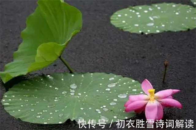 秋思|秋思古诗六首:洛阳城里见秋风,夜来秋气满人间