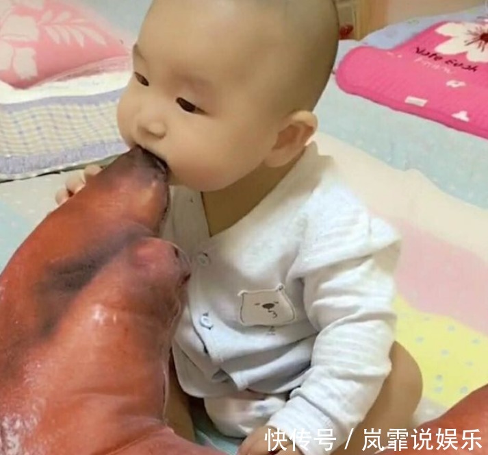 天天宝宝|宝妈外出办事,让婆婆带孩子,回来以后,看到孩子抱的东西笑喷了