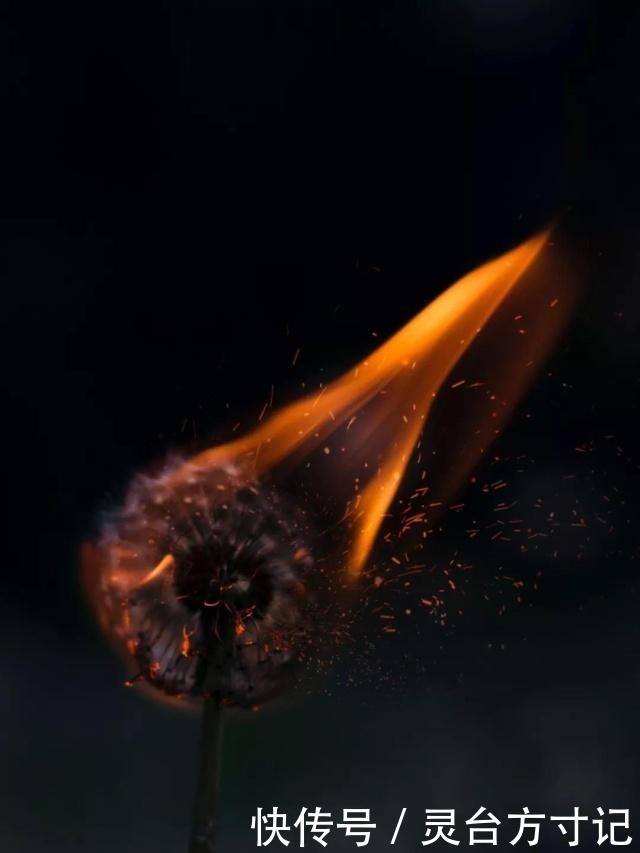 历史|一生不可不读的20句经典语录,句句入情入理,一语道破人生