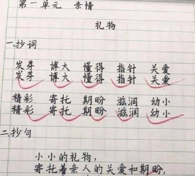 小学生A+作业走红，字体清新脱俗如印刷体，网友：别人家的孩子