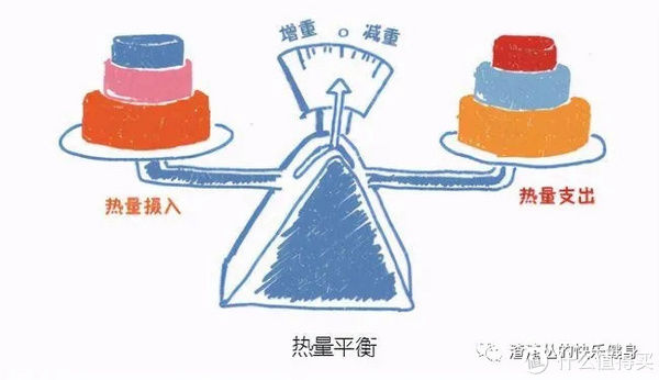 蓄水池|辟谣｜练腹瘦腰+深蹲粗腿？事实是这样的