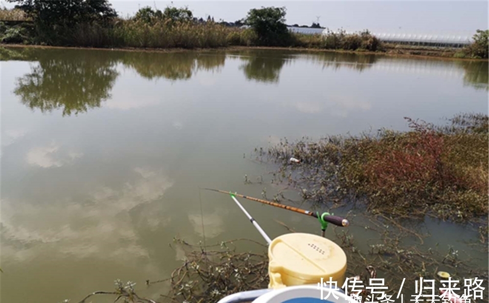 冬季钓鱼,不在4类钓点下竿,多好的饵料和技术,也注定了空军