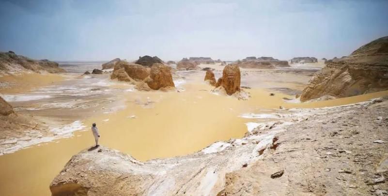  玫瑰|为何在沙漠看到“石头”要捡，有啥猫腻驴友错过就没机会了