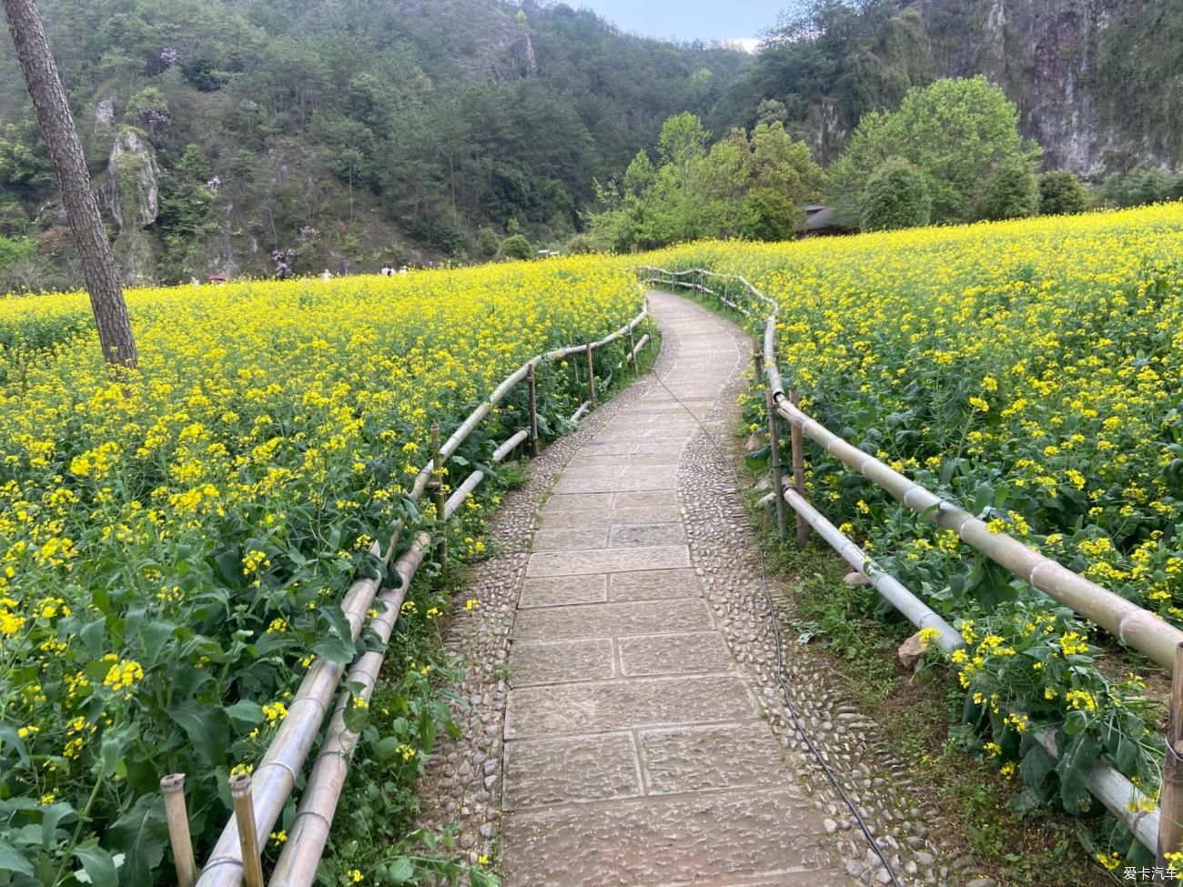 绝美仙都 山奇水清