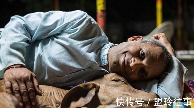 妻子|印度大叔抛妻弃子,花费17万和母牛举行婚礼,其中有何奥秘?