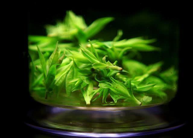 血液粘稠|血管不好，少碰二紅，多吃二黑，牢記四句話，血管會越來越好！