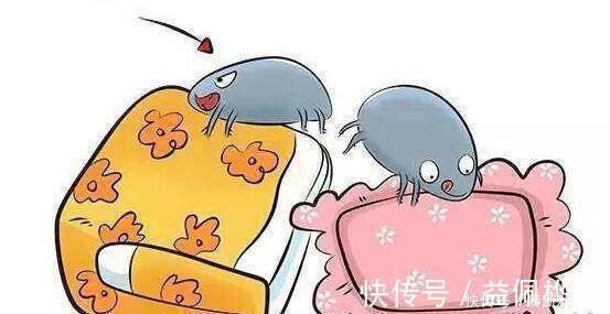 床垫|床垫用久成螨虫窝,婆婆教我用这一土方法,把螨虫消除得干干净净!