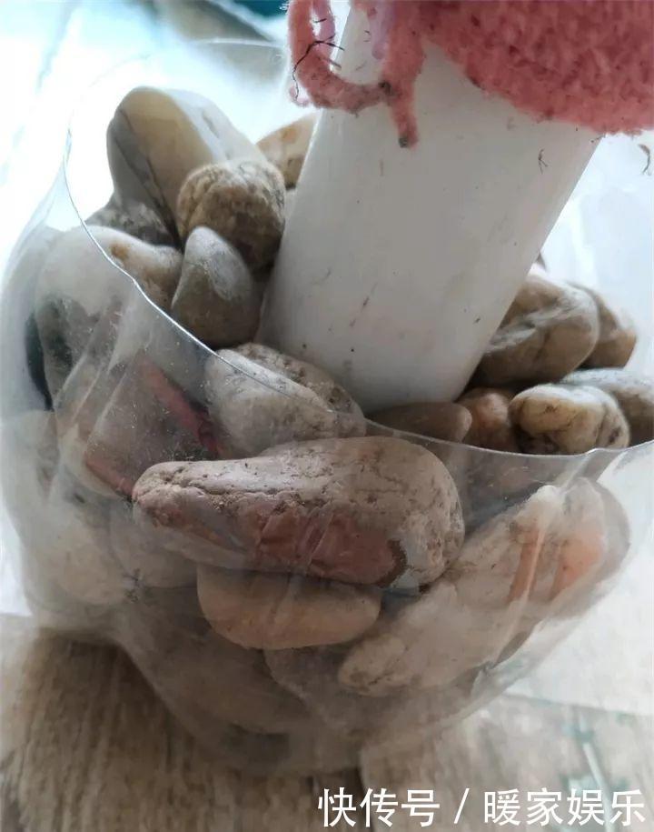 花友|绿萝裹个旧毛巾,俩月能爬1米高,一片叶子脸盆大!