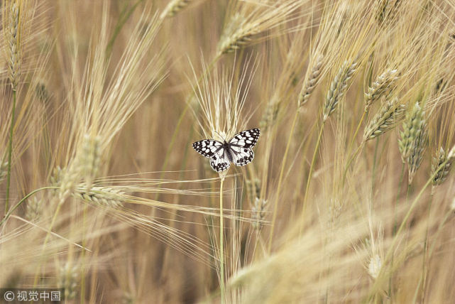 大姐|55岁大姐从不熬夜，查出宫颈癌，医生提醒平时三件事也应少做