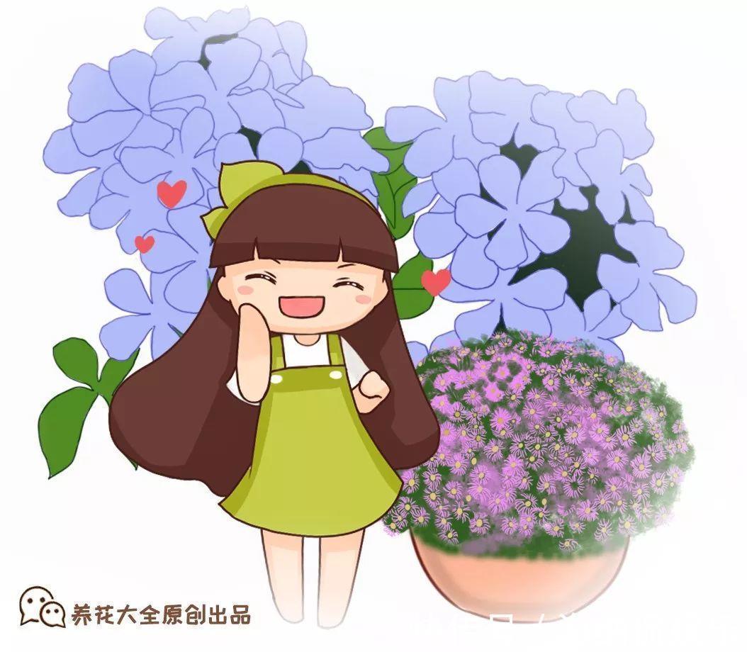 枝条|急性子养的6种花，长的快、爆花多，1盆能开大半年！