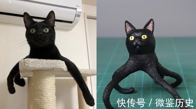 还原|全球的猫都想屏蔽这个日本人,他到底做了多少沙雕手办?