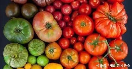 为什么现在的番茄产量越来越高，但是味道却大不如前