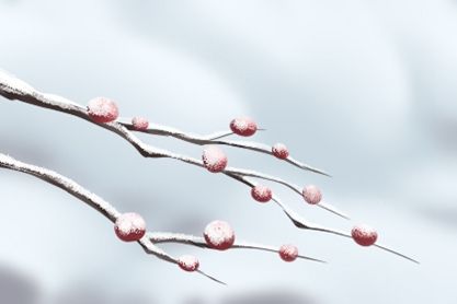  冬至|冬至是几月几号2020年数九 一九至九九时间表