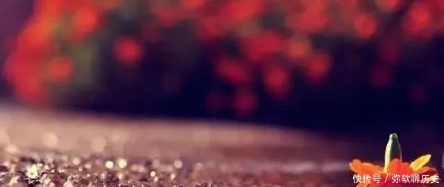 命运|林花谢了春红,太匆匆。不止李后主的命运如林花春红