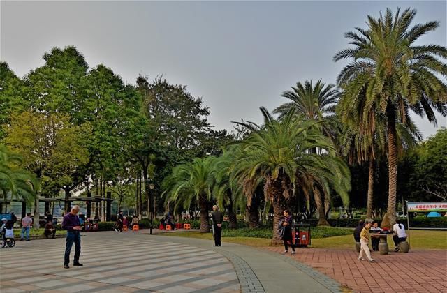 融化|温州又一公园走红，面积10.5公顷就在市区，景美人少还免门票