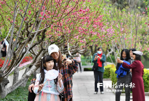 西湖|西湖桃花开 游客踏青来